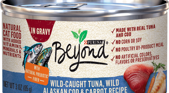 Beyond wild cat food reviews online